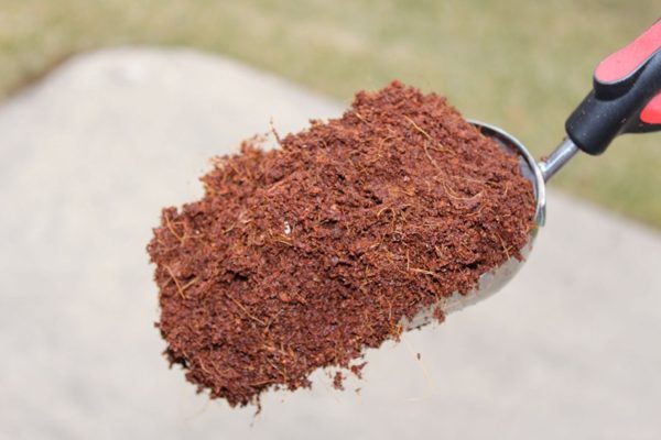 Coco Peat Briquettes